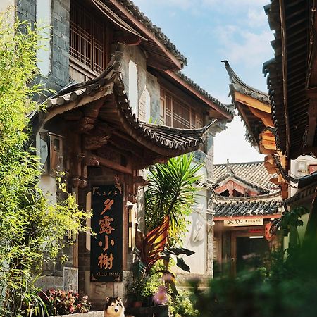 Xilu Xiaoxie Inn Old Town Lijiang Ліцзян Екстер'єр фото