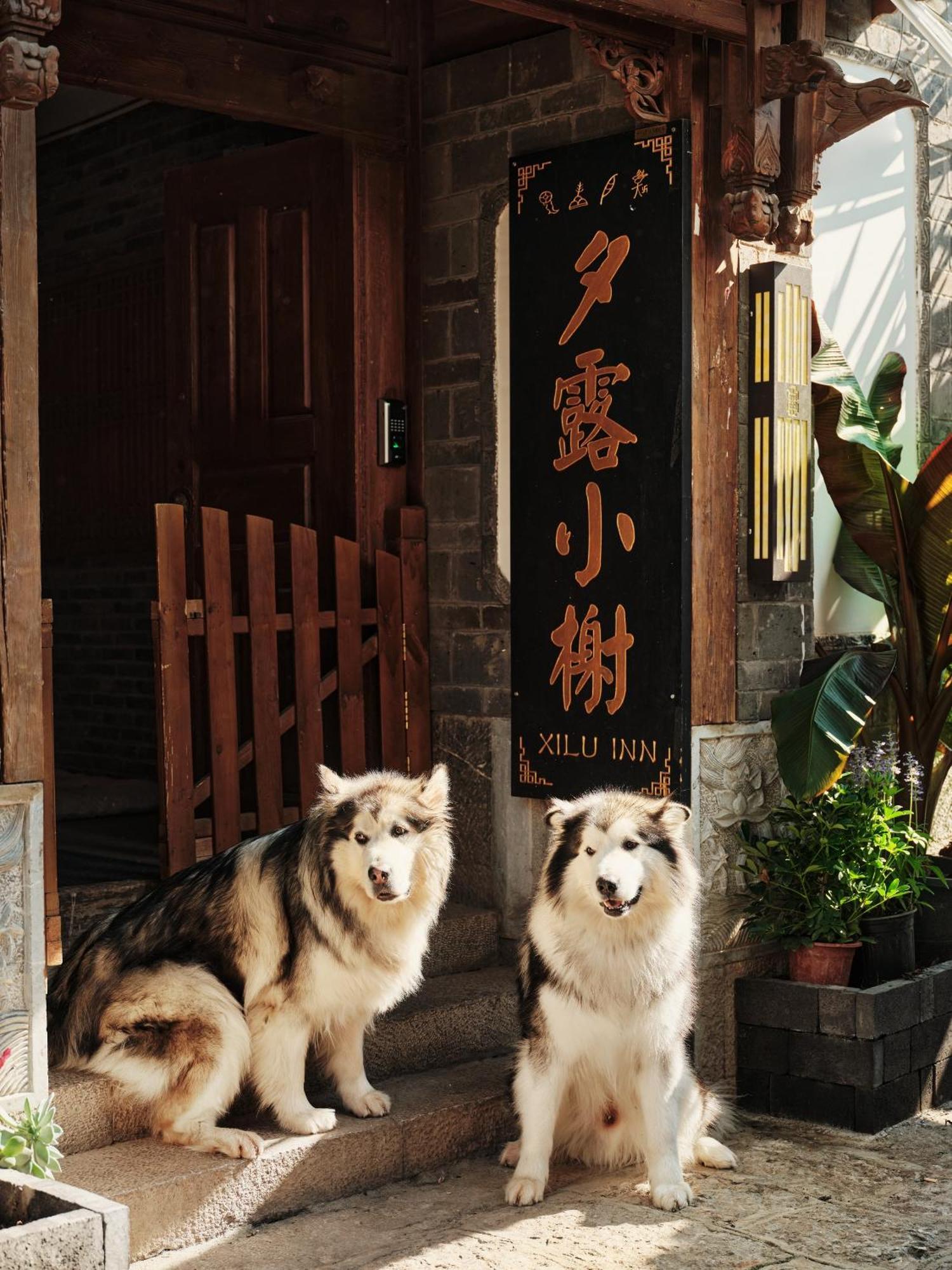 Xilu Xiaoxie Inn Old Town Lijiang Ліцзян Екстер'єр фото