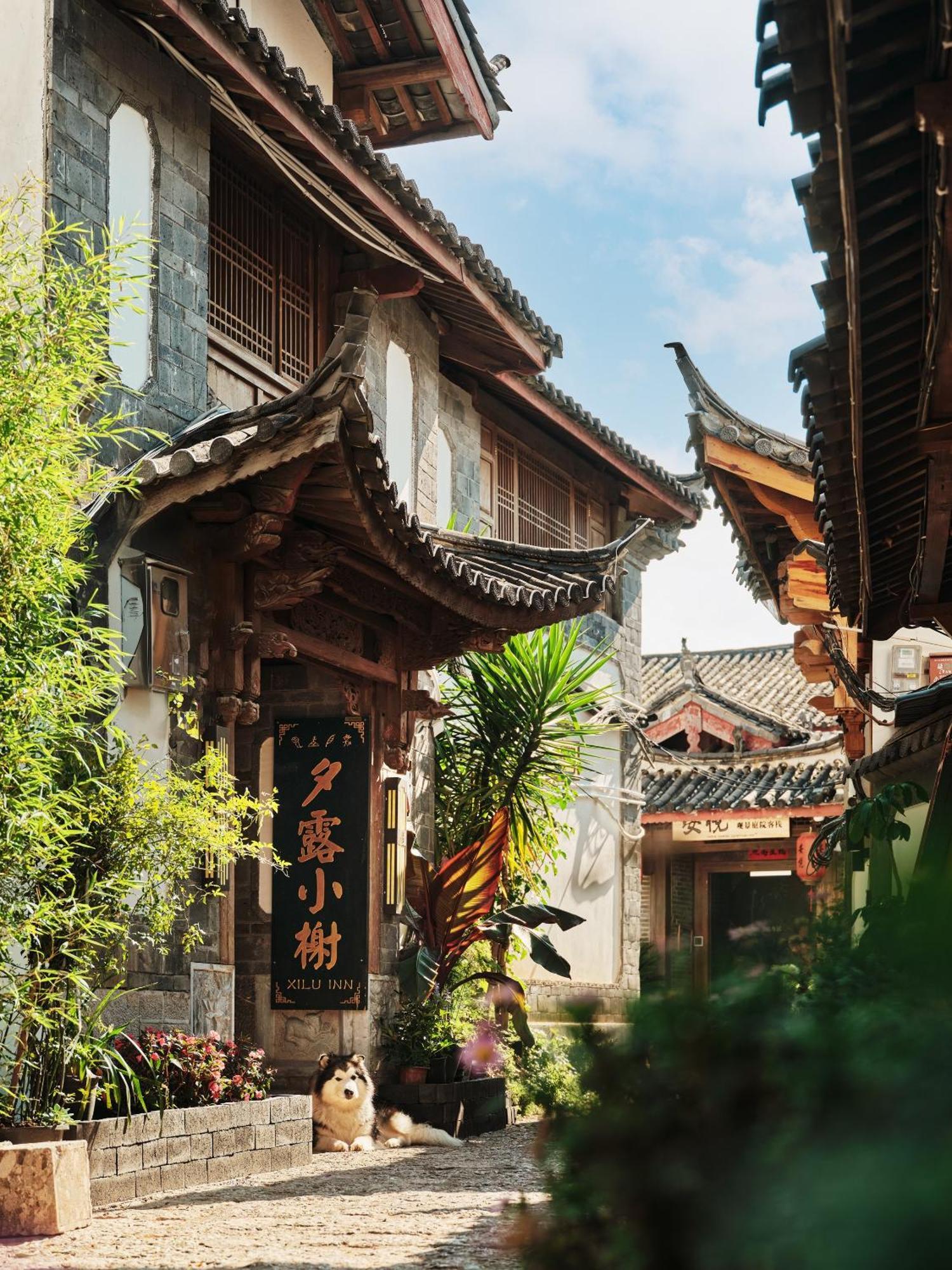 Xilu Xiaoxie Inn Old Town Lijiang Ліцзян Екстер'єр фото