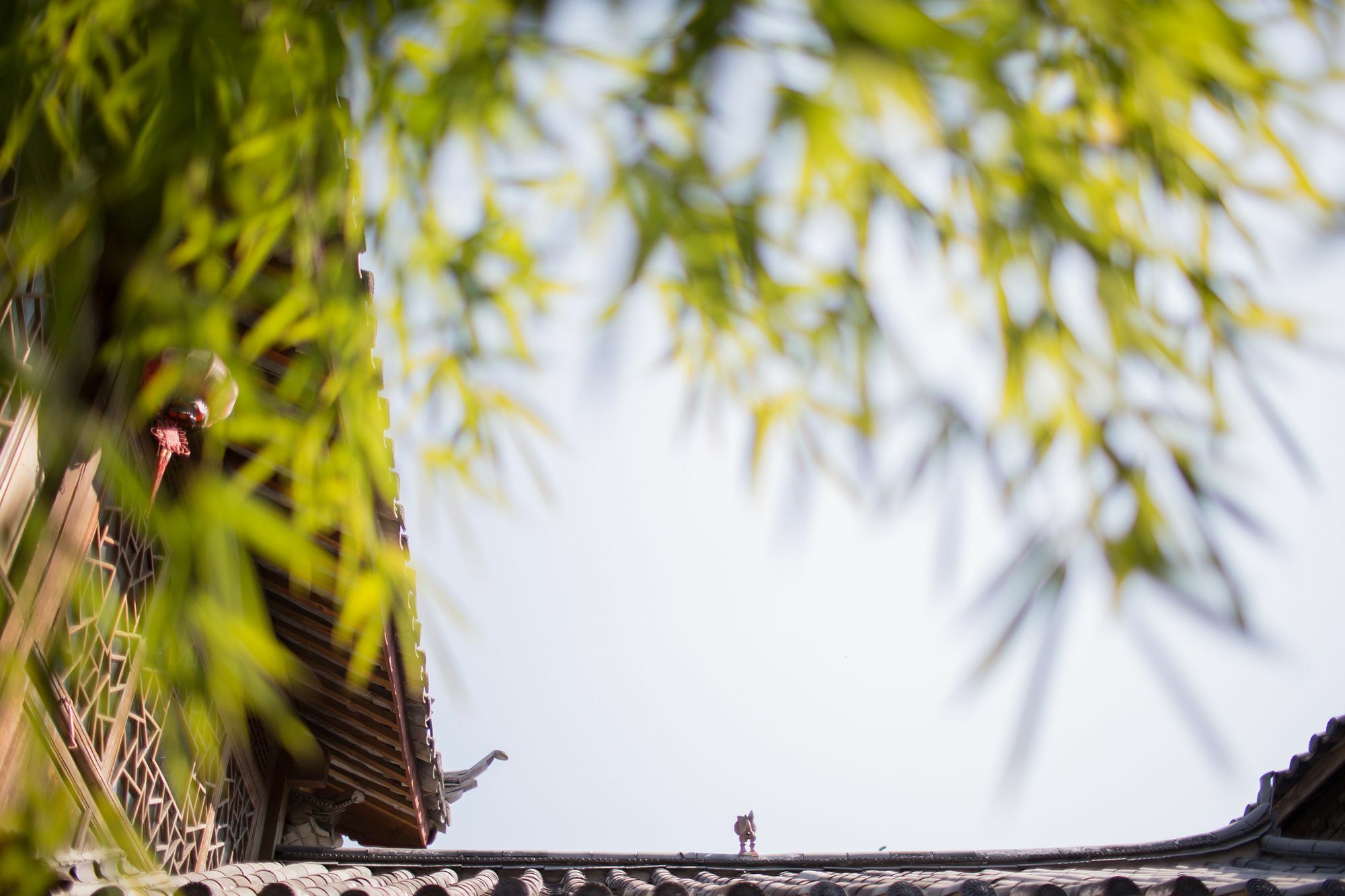 Xilu Xiaoxie Inn Old Town Lijiang Ліцзян Екстер'єр фото